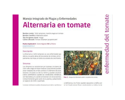 Plagas y enfermedades 3