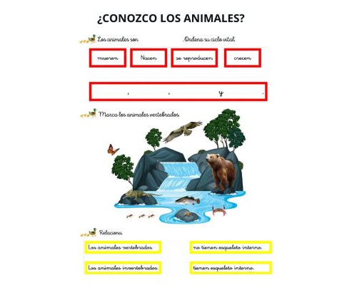 Fichas de Animales y su clasificación 1