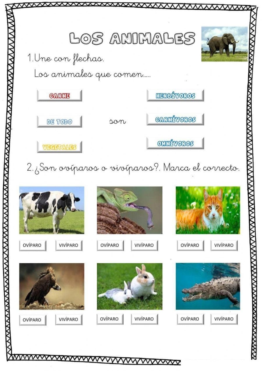 Uso de las fichas de naturales 4º Primaria como apoyo en el aprendizaje 1