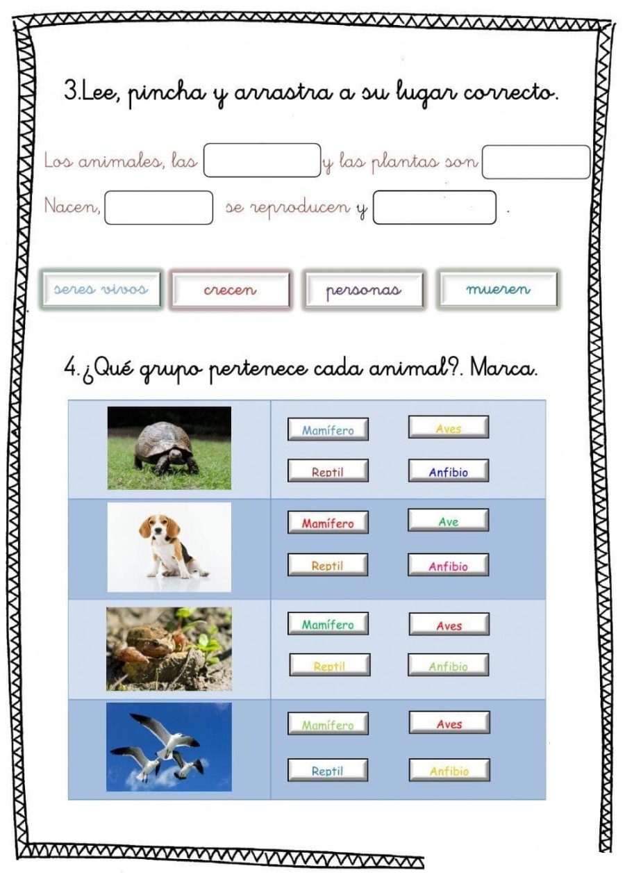 Uso de las fichas de naturales 4º Primaria como apoyo en el aprendizaje 2