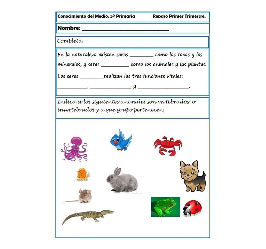 fichas de naturales 5 primaria 1