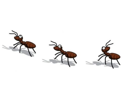 Fichas de hormigas para imprimir 3