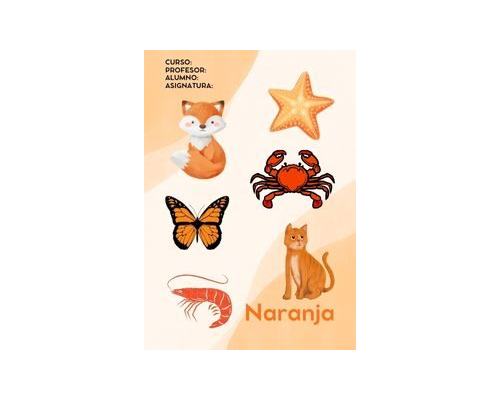 Fichas de color naranja para imprimir 3