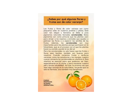 Fichas de color naranja para estudiar 1