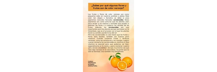 Fichas de color naranja para estudiar 1