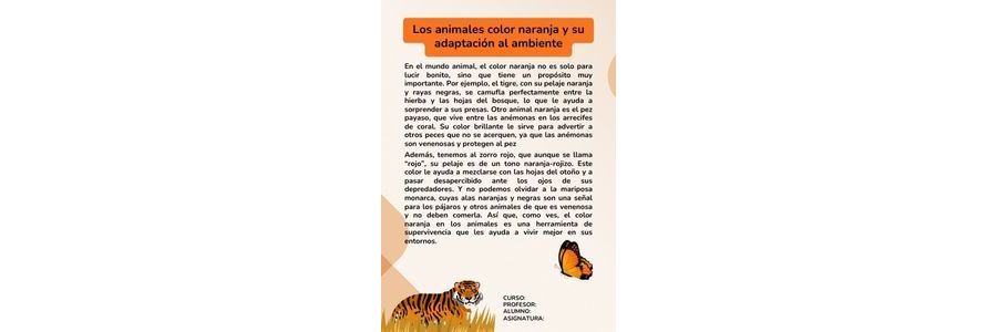 Fichas de color naranja para estudiar 2