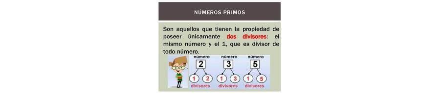 Qué son los números primos 1